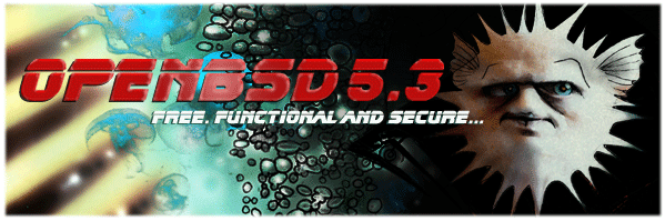[OpenBSD 5.3]